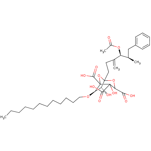 PNG
