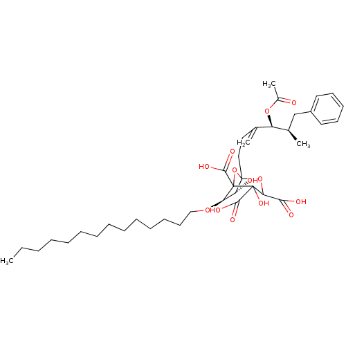 PNG