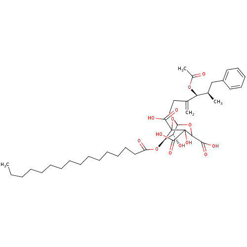 PNG