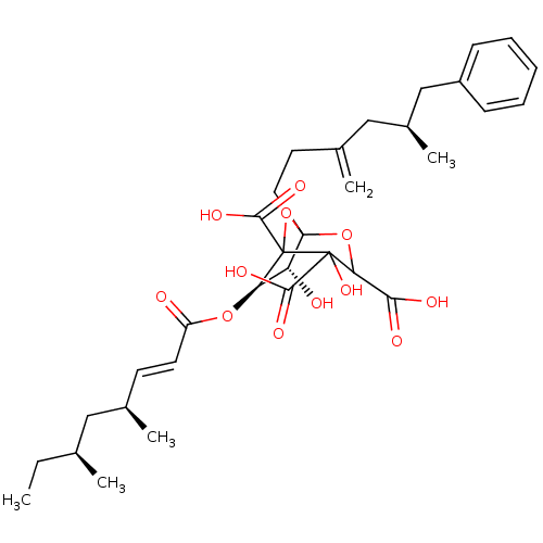 PNG