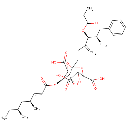PNG