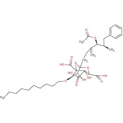 PNG