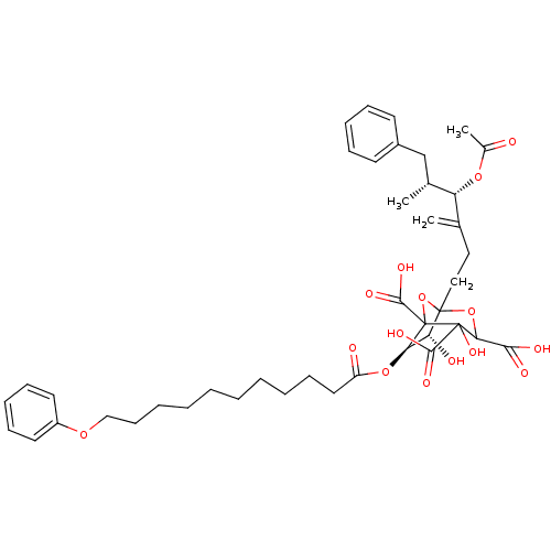 PNG