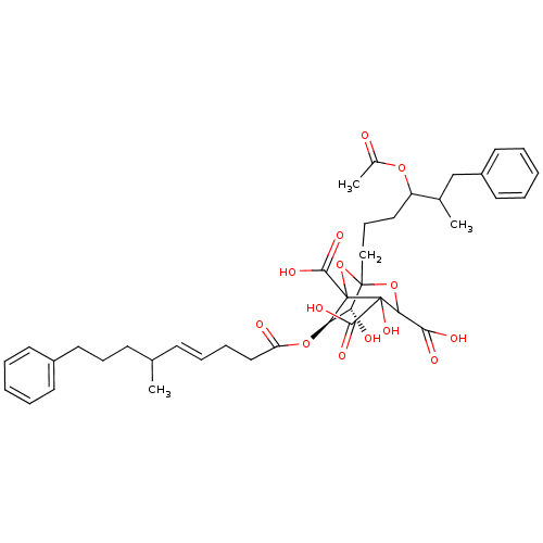 PNG