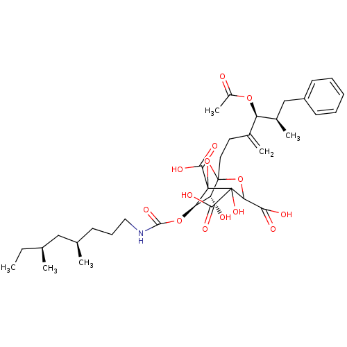 PNG