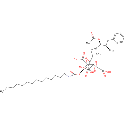 PNG