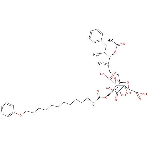 PNG