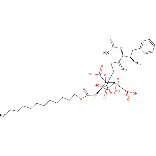 PNG