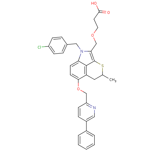 PNG