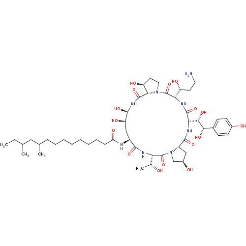 PNG