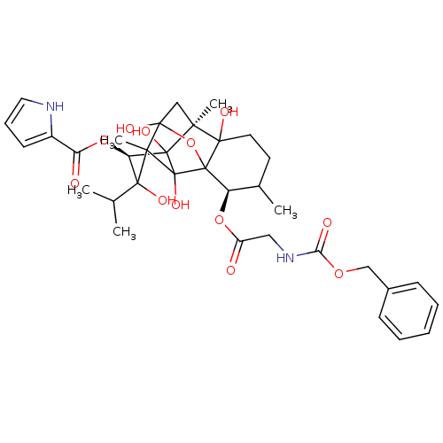 PNG