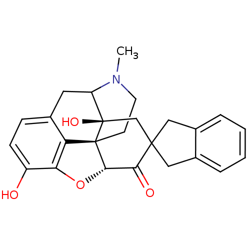 PNG