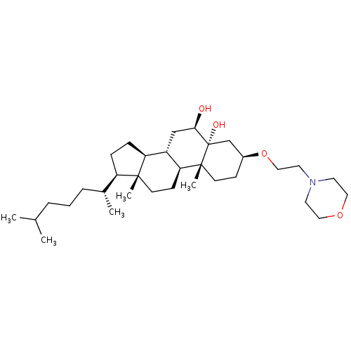 PNG