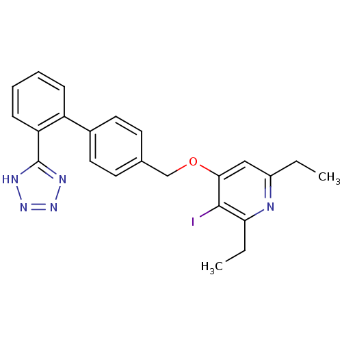 PNG