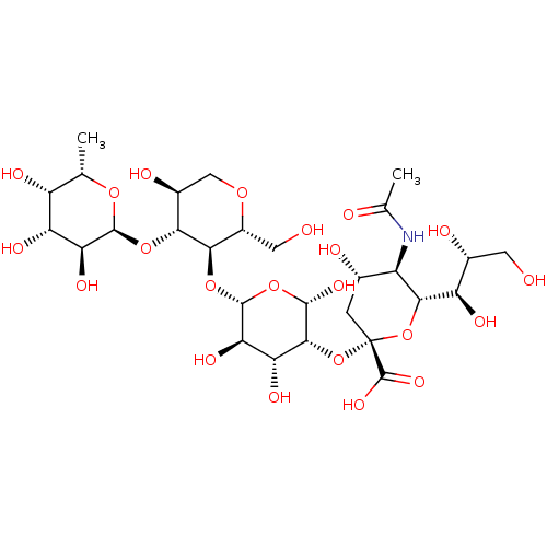 PNG