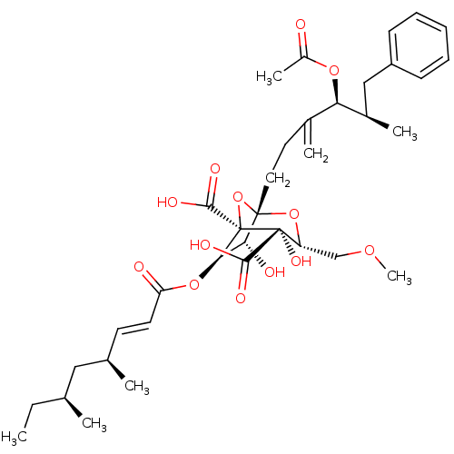 PNG