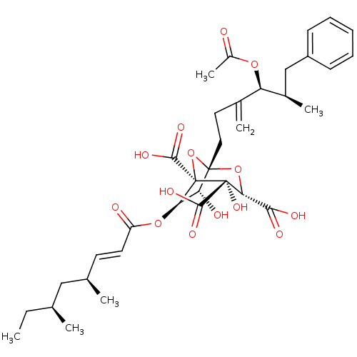 PNG