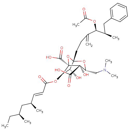 PNG