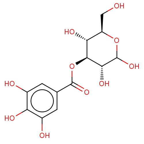 PNG