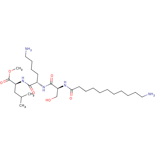 PNG