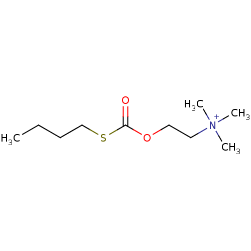 PNG