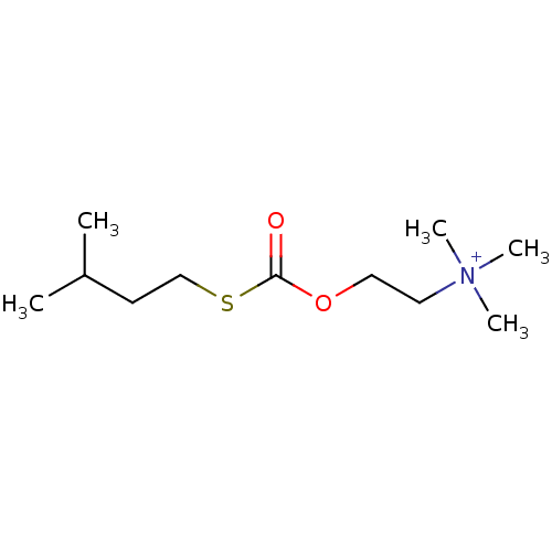 PNG