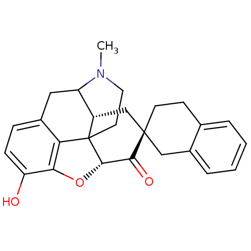 PNG