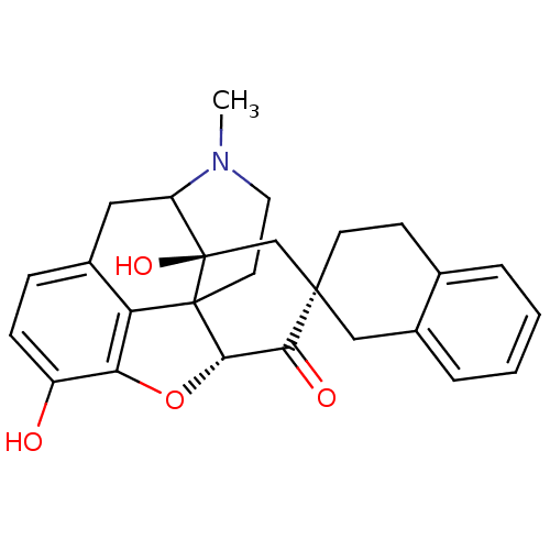 PNG
