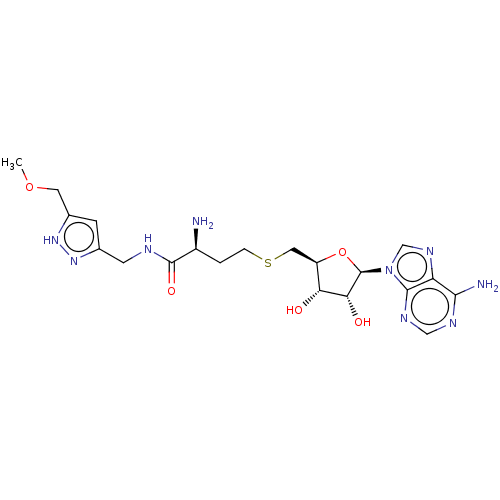 PNG
