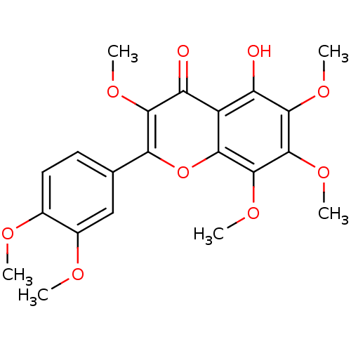 PNG