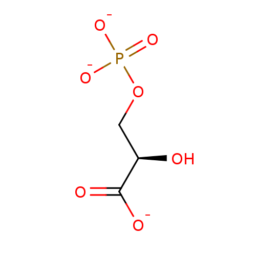 PNG