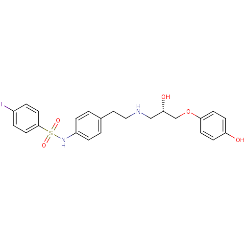 PNG