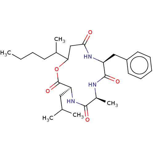 PNG