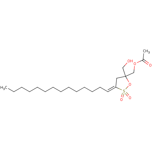 PNG