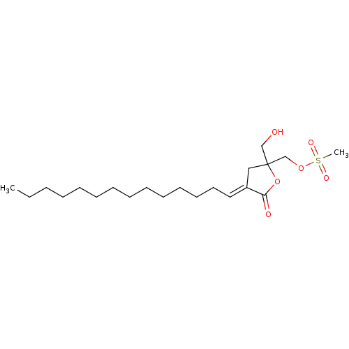 PNG