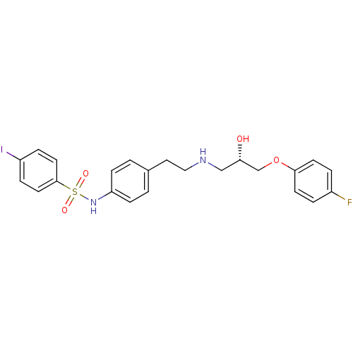 PNG