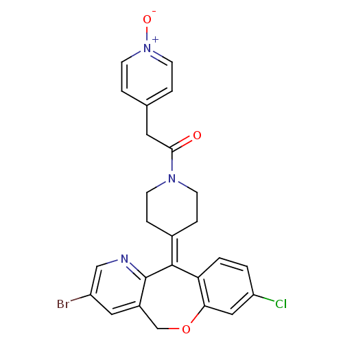 PNG
