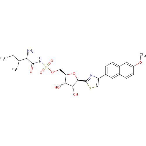 PNG