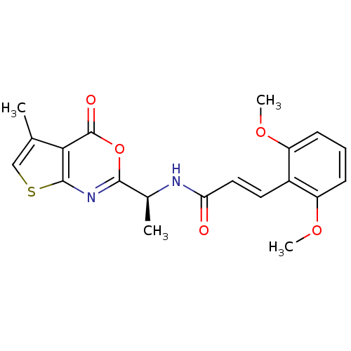 PNG