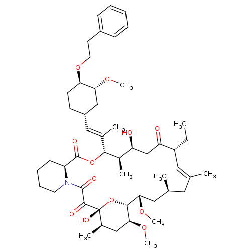 PNG