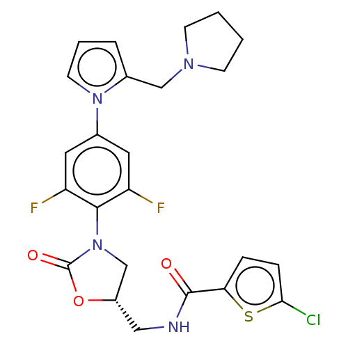 PNG