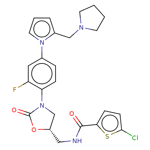 PNG