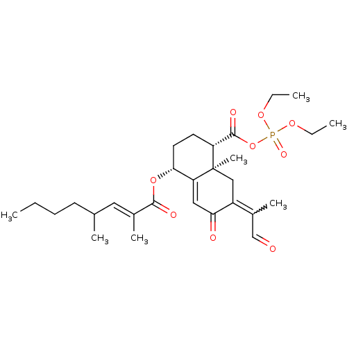 PNG