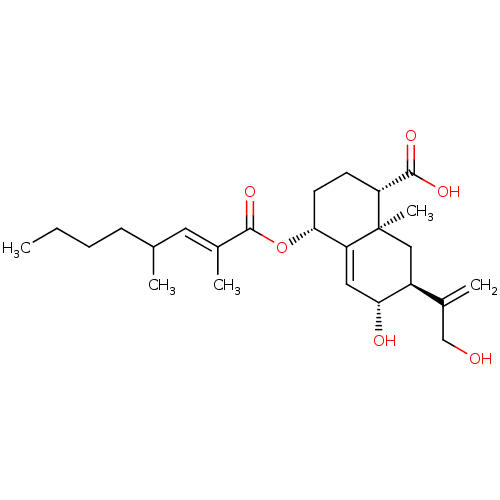 PNG