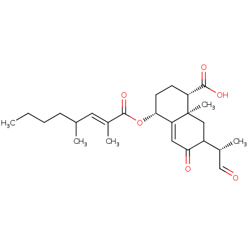 PNG