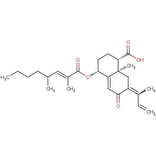 PNG