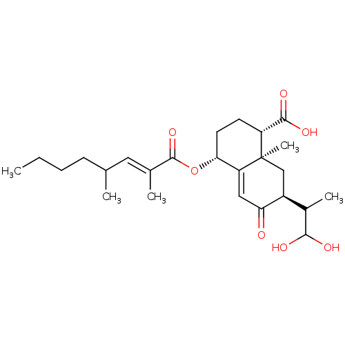 PNG