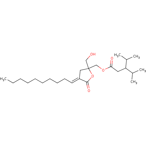 PNG