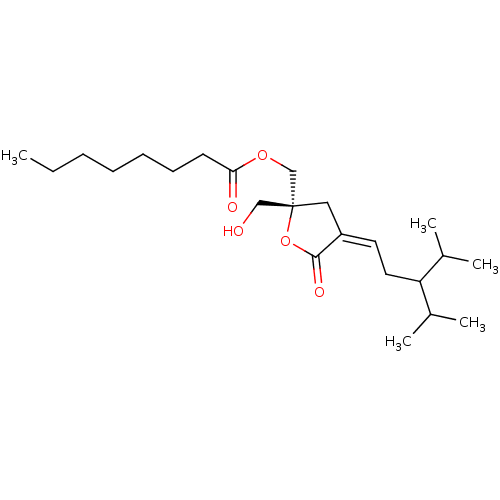 PNG