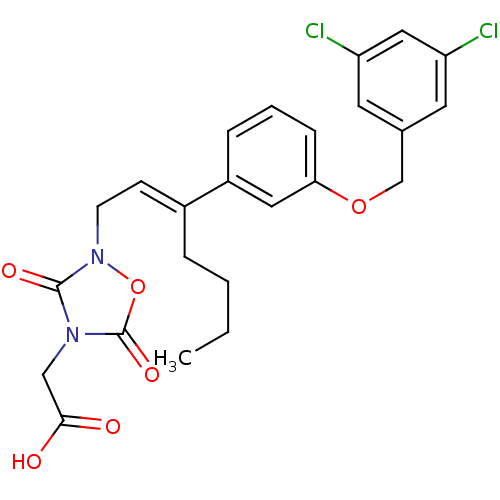 PNG